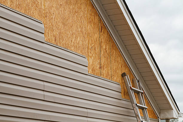 Professional Wood Siding technician working in Alledonia, OH